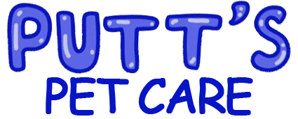 Putt